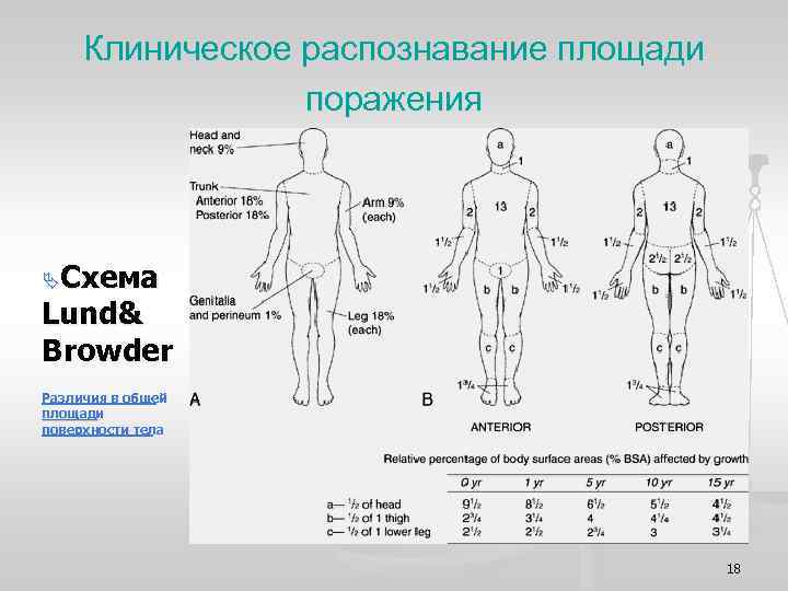 Площадь поражения