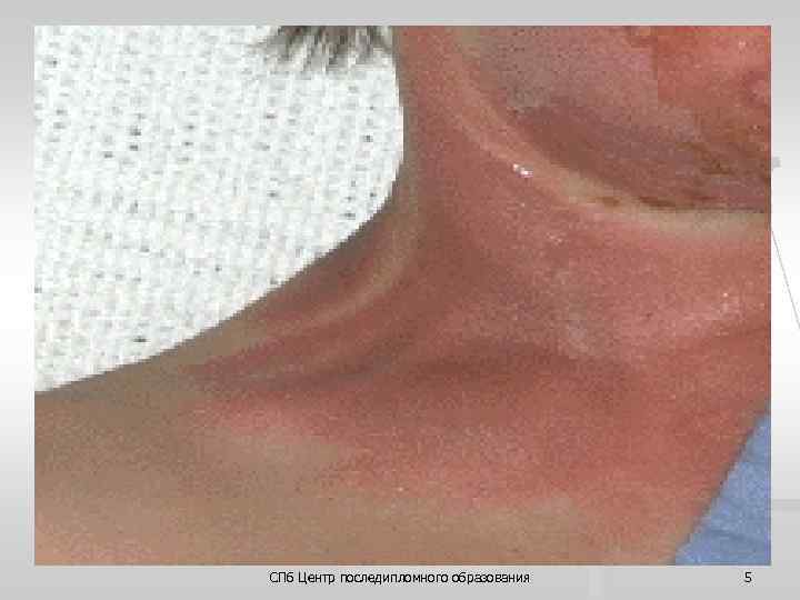 СПб Центр последипломного образования 5 