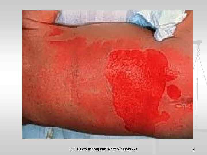 СПб Центр последипломного образования 7 