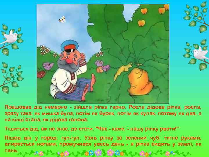 Працював дід немарно - зійшла ріпка гарно. Росла дідова ріпка, росла, зразу така, як