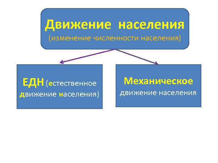 Движение населения (изменение численности населения) ЕДН (естественное движение населения) Механическое движение населения 