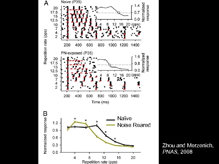 Naïve Noise Reared Zhou and Merzenich, PNAS, 2008 