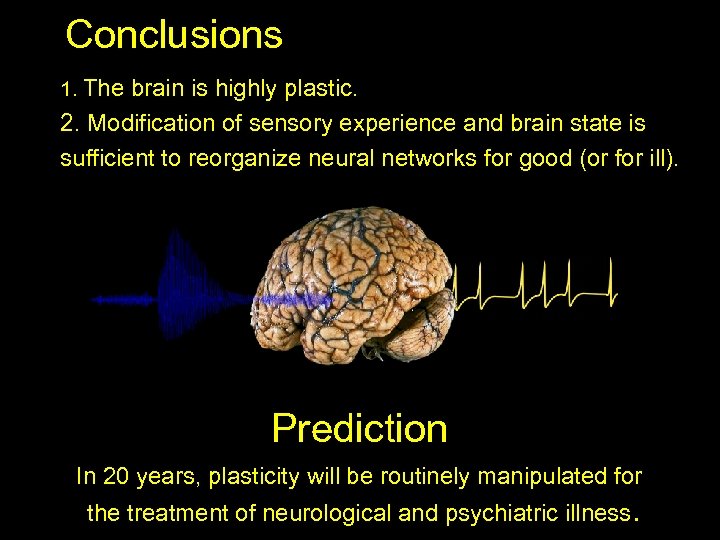 Conclusions 1. The brain is highly plastic. 2. Modification of sensory experience and brain