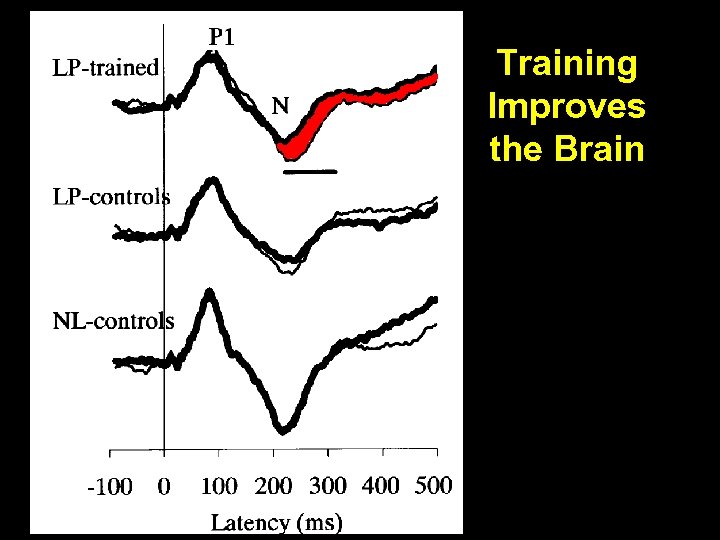 Training Improves the Brain 
