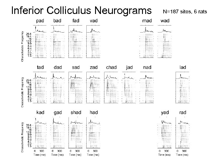 Inferior Colliculus Neurograms N=187 sites, 6 rats 