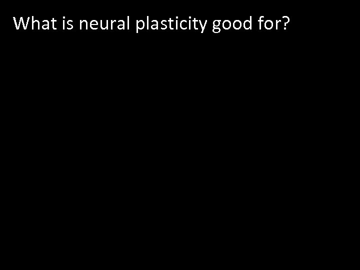 What is neural plasticity good for? 