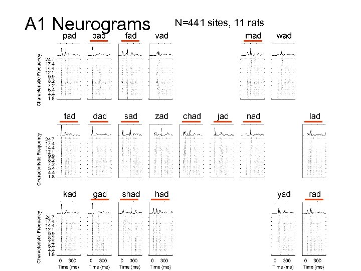 A 1 Neurograms N=441 sites, 11 rats 