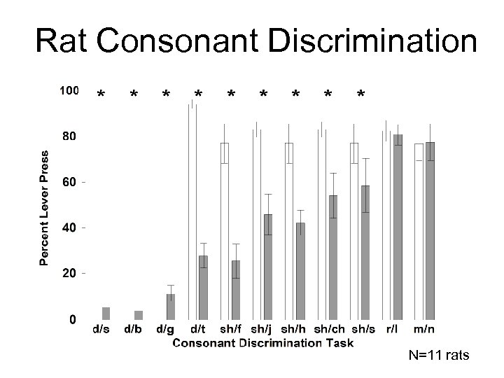 Rat Consonant Discrimination N=11 rats 