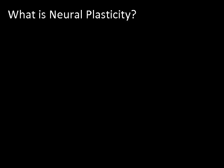 What is Neural Plasticity? 