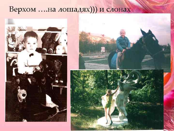 Верхом …. на лошадях))) и слонах 