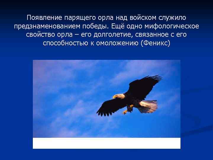 Появление парящего орла над войском служило предзнаменованием победы. Ещё одно мифологическое свойство орла –