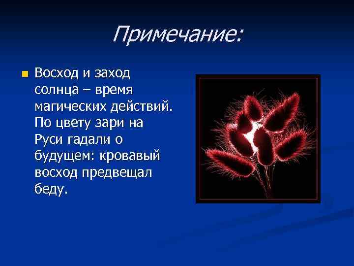 Примечание: n Восход и заход солнца – время магических действий. По цвету зари на