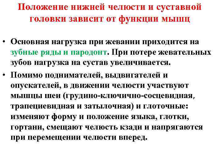 Положение нижней челюсти и суставной головки зависит от функции мышц • Основная нагрузка при