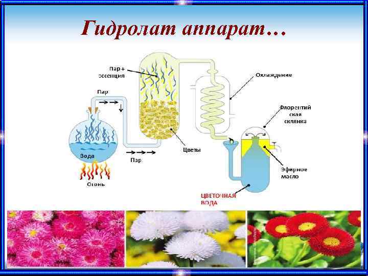 Гидролат аппарат… 