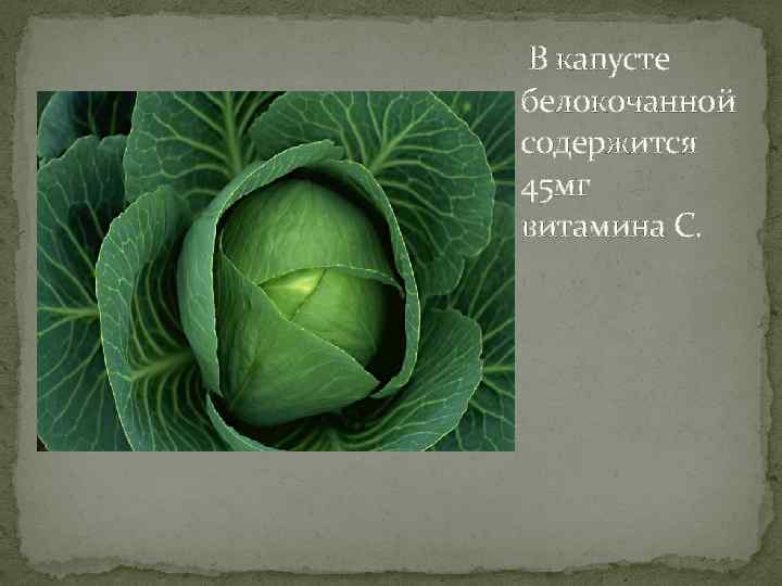  В капусте белокочанной содержится 45 мг витамина С. 