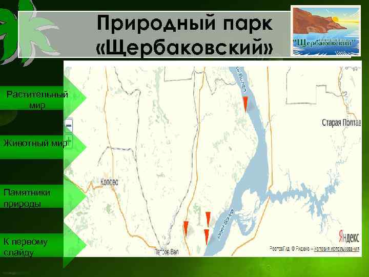 Природный парк «Щербаковский» Растительный мир Животный мир Памятники природы К первому слайду 