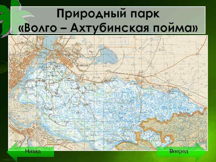 Природный парк «Волго – Ахтубинская пойма» Назад Вперед 