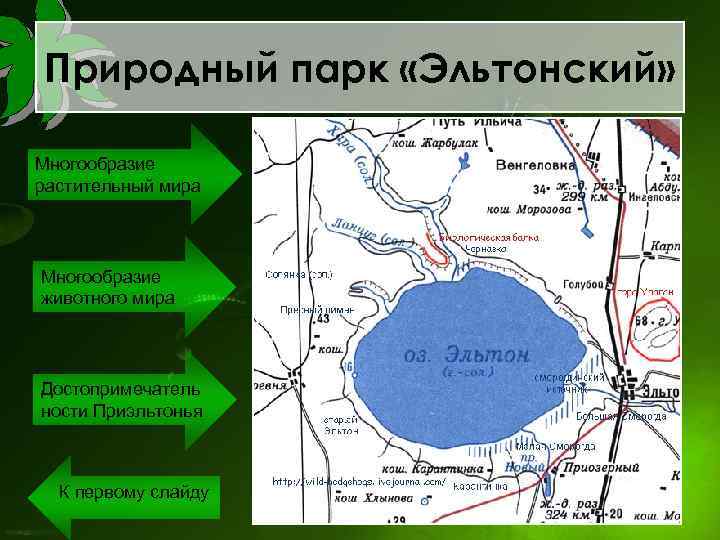 Природный парк «Эльтонский» Многообразие растительный мира Многообразие животного мира Достопримечатель ности Приэльтонья К первому