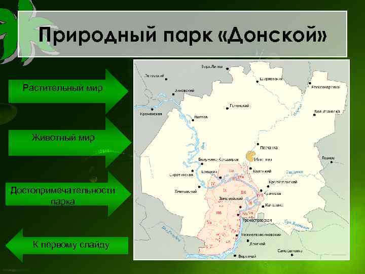 Природный парк «Донской» Растительный мир Животный мир Достопримечательности парка К первому слайду 