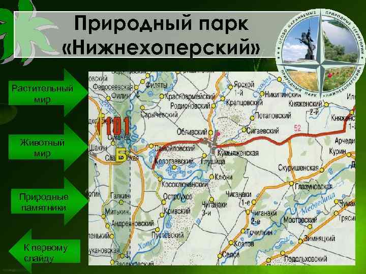 Природный парк «Нижнехоперский» Растительный мир Животный мир Природные памятники К первому слайду 