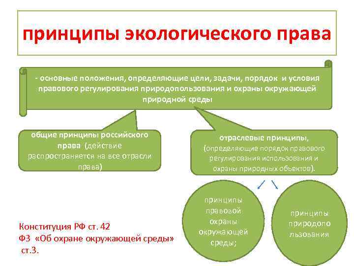принципы экологического права - основные положения, определяющие цели, задачи, порядок и условия правового регулирования