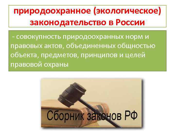 природоохранное (экологическое) законодательство в России совокупность природоохранных норм и правовых актов, объединенных общностью объекта,