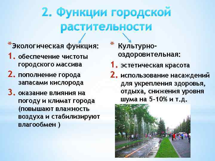 2. Функции городской растительности *Экологическая функция: 1. обеспечение чистоты городского массива 2. пополнение города