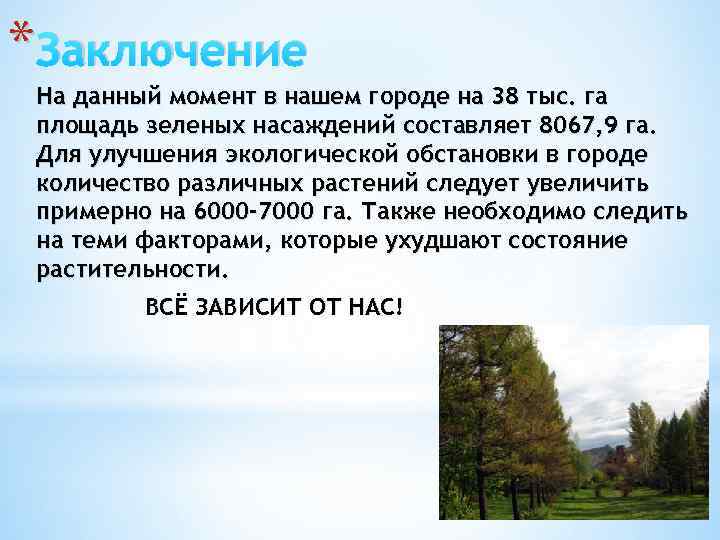 * Заключение На данный момент в нашем городе на 38 тыс. га площадь зеленых