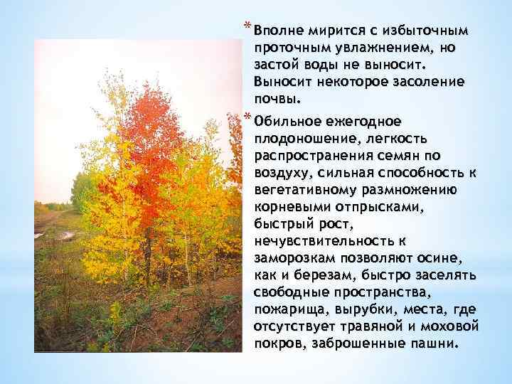 * Вполне мирится с избыточным проточным увлажнением, но застой воды не выносит. Выносит некоторое