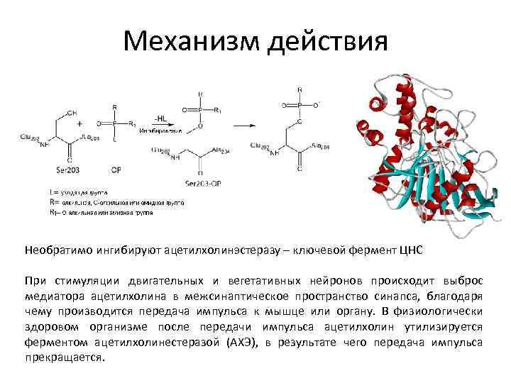 Объясните механизм