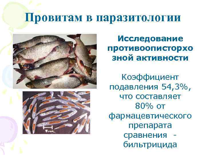 Провитам в паразитологии Исследование противоописторхо зной активности Коэффициент подавления 54, 3%, что составляет 80%