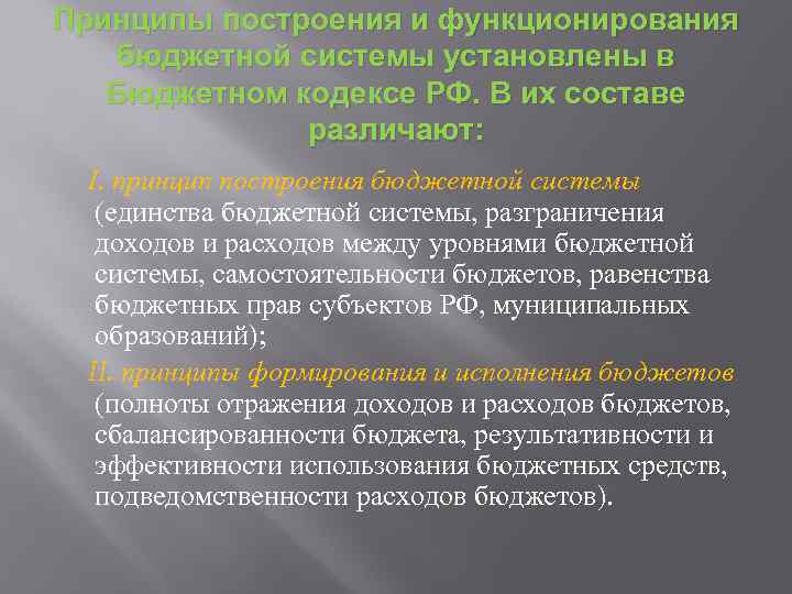 Принципы построения и функционирования бюджетной системы установлены в Бюджетном кодексе РФ. В их составе