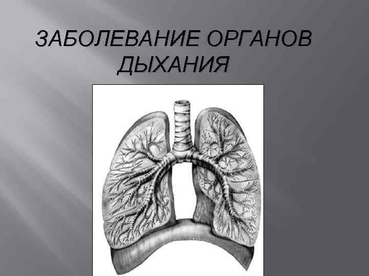 ЗАБОЛЕВАНИЕ ОРГАНОВ ДЫХАНИЯ 