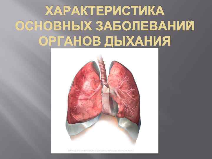 ХАРАКТЕРИСТИКА ОСНОВНЫХ ЗАБОЛЕВАНИЙ ОРГАНОВ ДЫХАНИЯ 