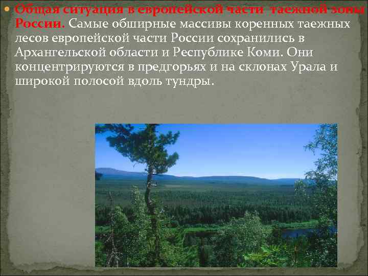  Общая ситуация в европейской части таежной зоны России. Самые обширные массивы коренных таежных