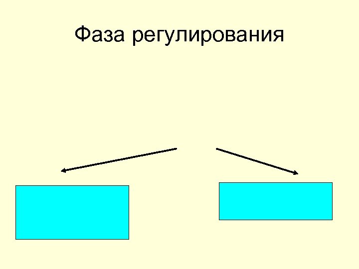 Фаза регулирования 