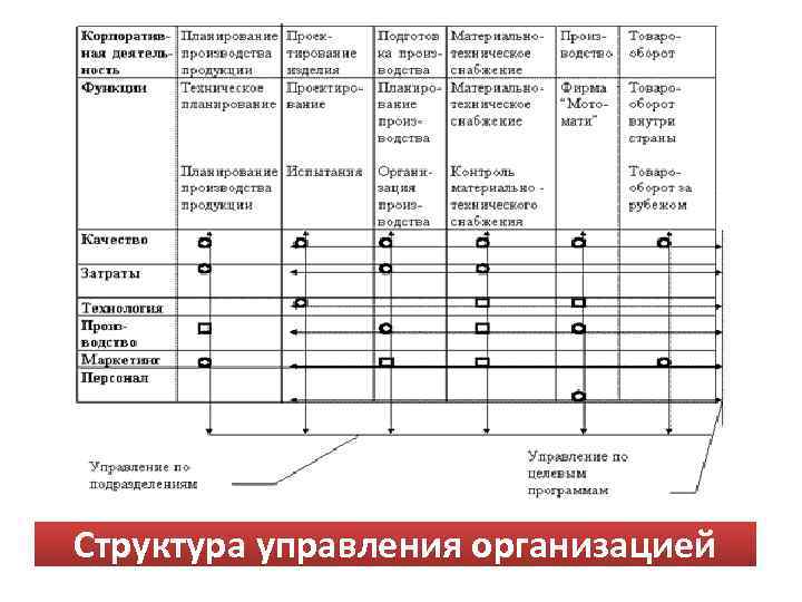 Структура управления организацией 