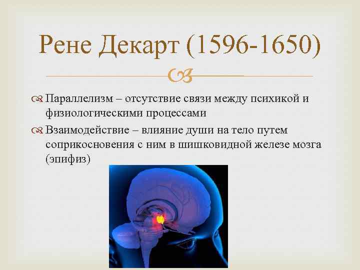 Рене Декарт (1596 -1650) Параллелизм – отсутствие связи между психикой и физиологическими процессами Взаимодействие