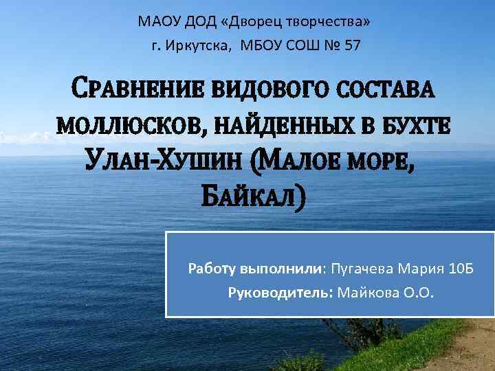 МАОУ ДОД «Дворец творчества» г. Иркутска, МБОУ СОШ № 57 СРАВНЕНИЕ ВИДОВОГО СОСТАВА МОЛЛЮСКОВ,