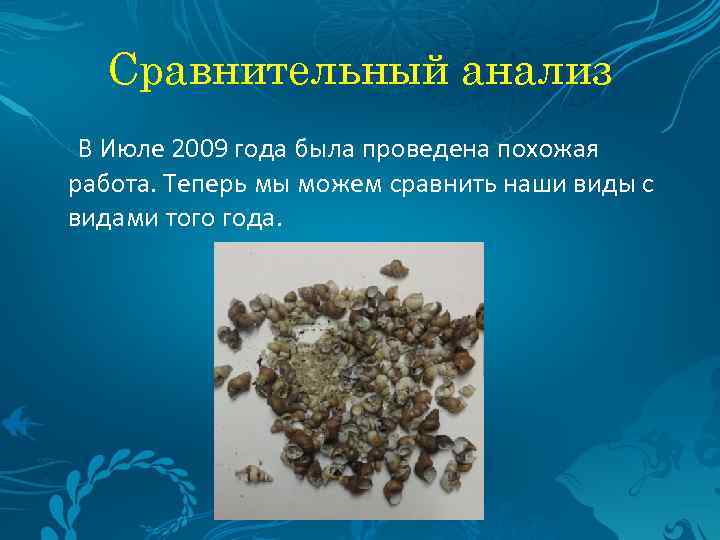 Сравнительный анализ В Июле 2009 года была проведена похожая работа. Теперь мы можем сравнить