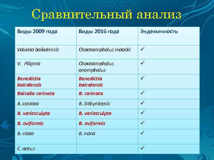 Сравнительный анализ Виды 2009 года Виды 2016 года Эндемичность Choanomphalus maacki ü V. Piligera