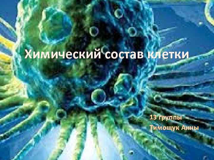 Химический состав клетки 13 группы Тимощук Анны 