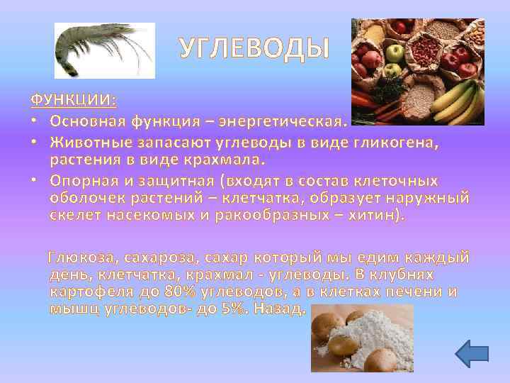 УГЛЕВОДЫ ФУНКЦИИ: • Основная функция – энергетическая. • Животные запасают углеводы в виде гликогена,