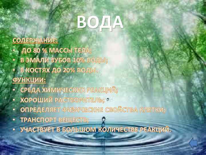 ВОДА СОДЕРЖАНИЕ: • ДО 80 % МАССЫ ТЕЛА; • В ЭМАЛИ ЗУБОВ 10% ВОДЫ;
