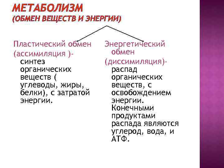 МЕТАБОЛИЗМ (ОБМЕН ВЕЩЕСТВ И ЭНЕРГИИ) Пластический обмен (ассимиляция )синтез органических веществ ( углеводы, жиры,