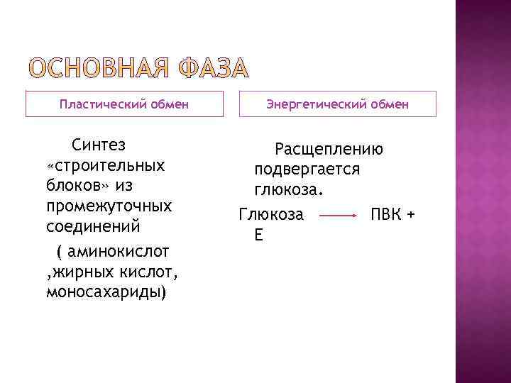 Пластический обмен Синтез «строительных блоков» из промежуточных соединений ( аминокислот , жирных кислот, моносахариды)