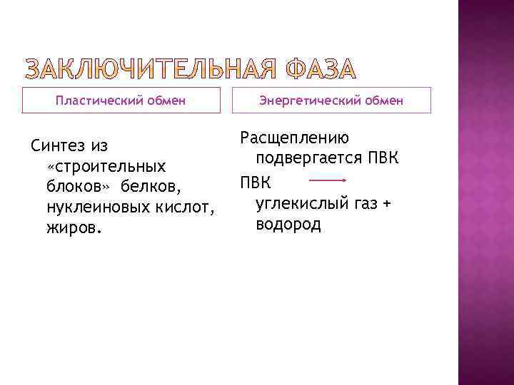 Энергетический обмен синтез. Пластический обмен расщепление. Синтез и обмен ПВК. Пластический обмен и энергетический расщепление жиров. Каково участие в пластическом обмене жиров.