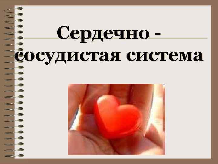 Сердечно сосудистая система 