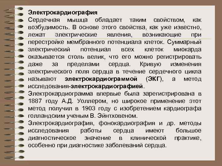 Электрокардиография Сердечная мышца обладает таким свойством, как возбудимость. В основе этого свойства, как уже
