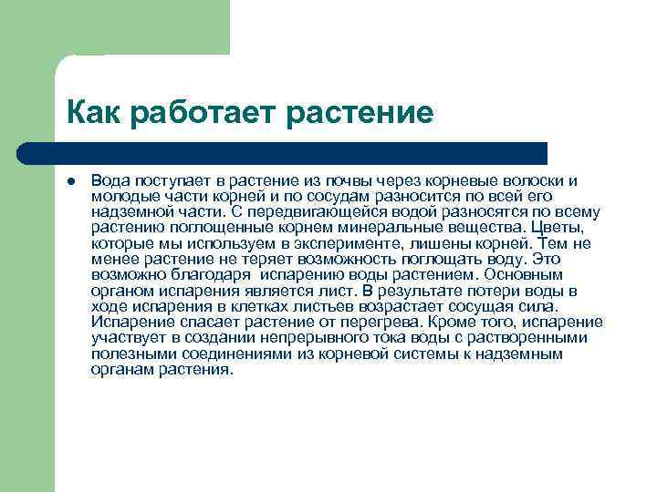 Как работает растение l Вода поступает в растение из почвы через корневые волоски и